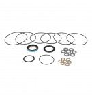 SEAL KIT FOR DANFOSS OMEW MOTOR